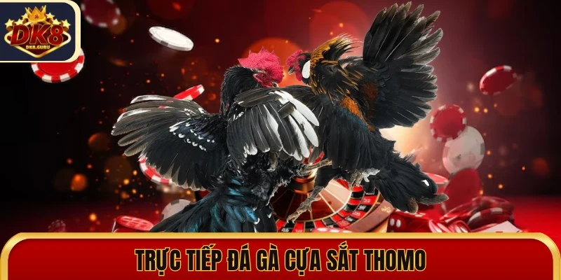 truc tiep da ga cua sat thomo